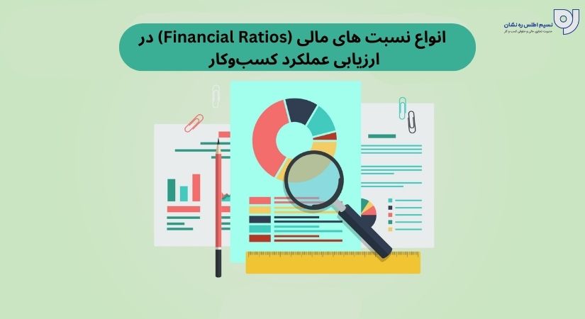انواع نسبت های مالی (Financial Ratios) در ارزیابی عملکرد کسب‌وکار